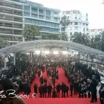 Miss Bobby_Cannes2015