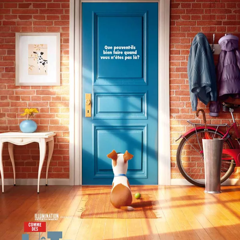 Comme des bêtes Miss Bobby_Comme des bêtes