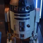 Miss Bobby_Star Wars Identities