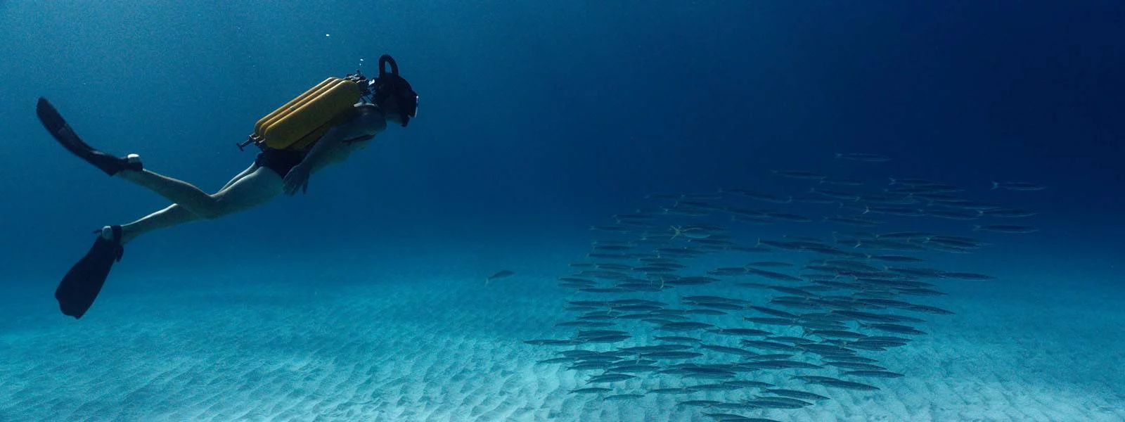 LOdyssée 2 lodyssee_film_salle