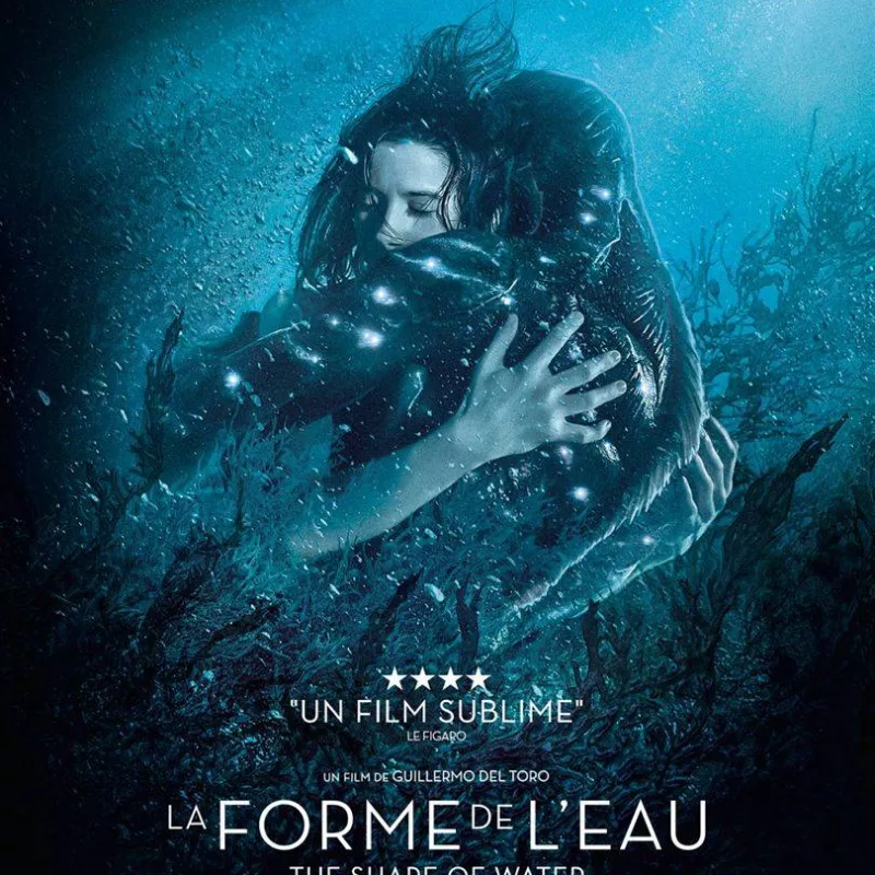 La forme de l'eau