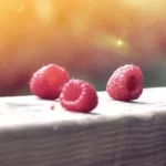 portfolio 570 26 jpg